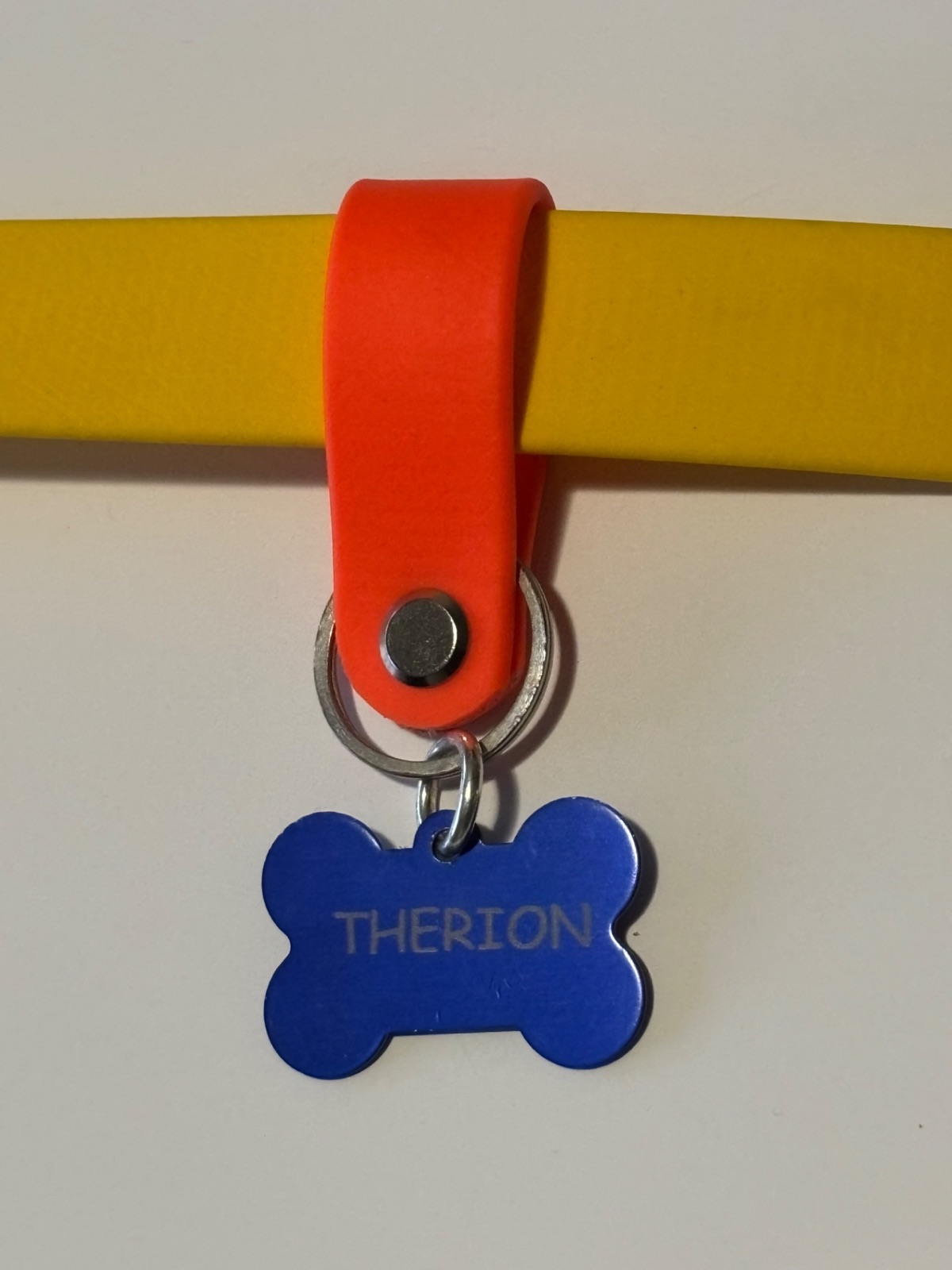 Support de Médaille en Biothane