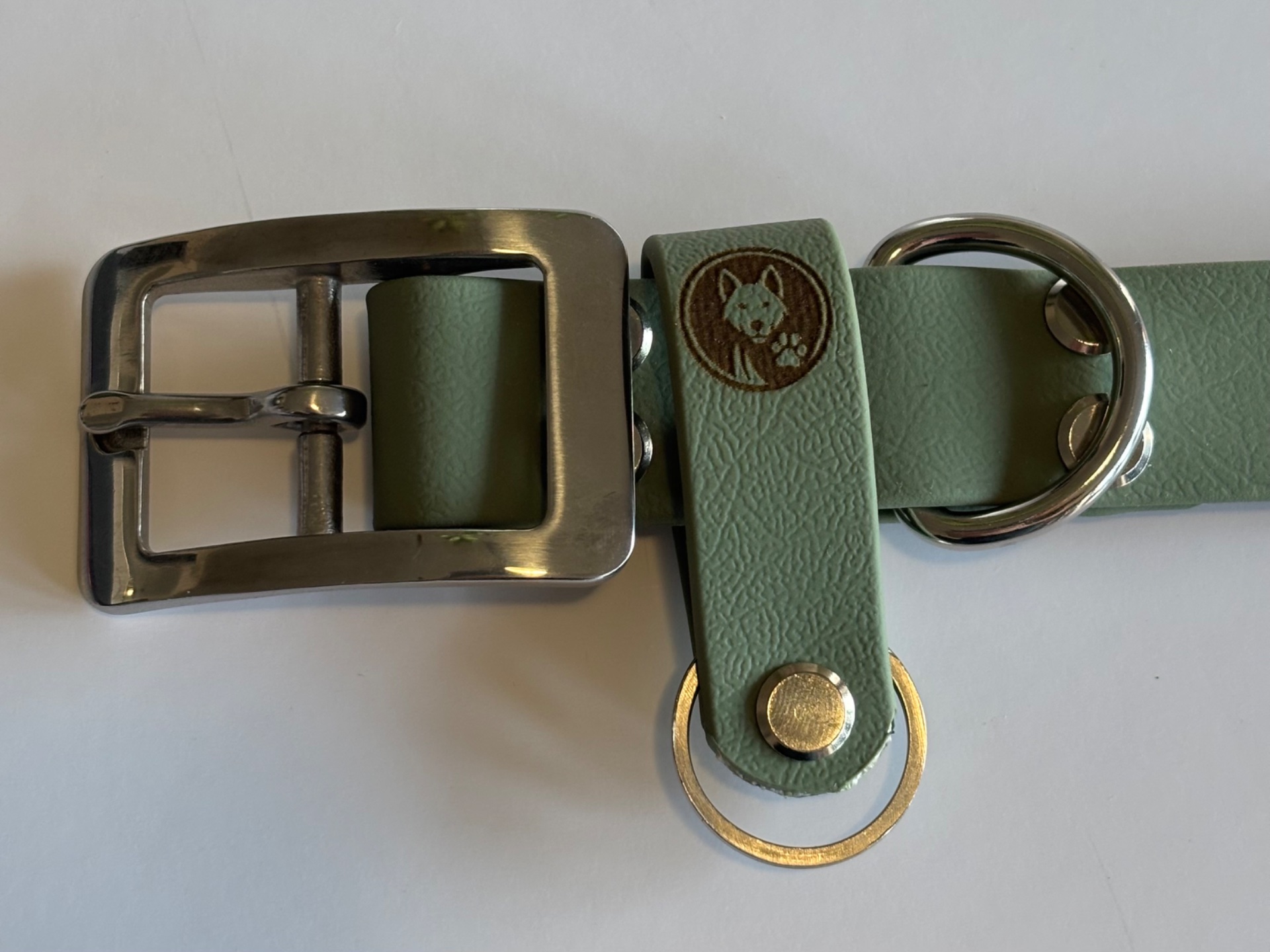 Support de médaille gravé froggy vert